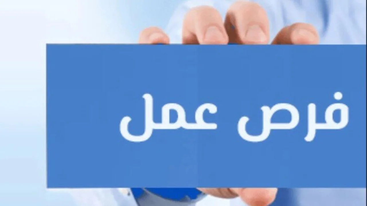 فرصة عمل جديدة برواتب تصل إلى 35 ألف جنيه في مشروع الضبعة 2026